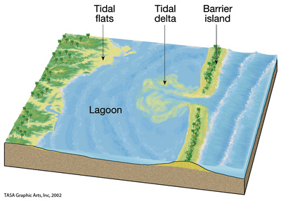 Climate and Tides - Estuaries